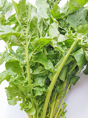 Image showing Rocket salad