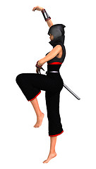 Image showing Ninja