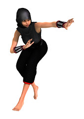 Image showing Ninja