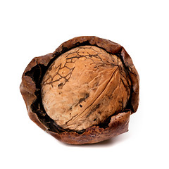 Image showing Crude walnut isolated on white background