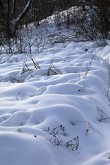 Image showing Snowdrifts in winter forest after snowfall