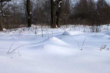 Image showing Snowdrift in winter forest