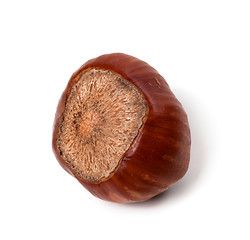 Image showing Brown hazelnut