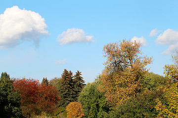 Image showing autumn trees