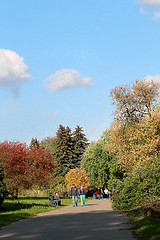 Image showing autumn trees