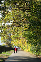 Image showing autumn trees