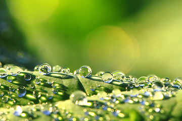 Image showing water drops background