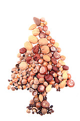 Image showing christmas tree from nuts