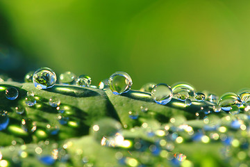 Image showing water drops background