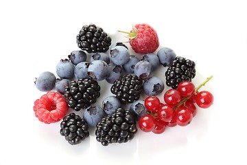 Image showing Berries