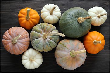 Image showing Squash and pumpkins