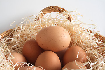 Image showing eggs in a basket