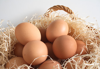 Image showing eggs in a basket