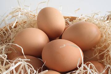 Image showing eggs in a basket