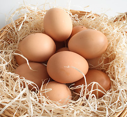 Image showing eggs in a basket