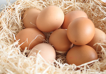 Image showing eggs in a basket