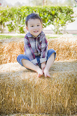 Image showing Cute Young Mixed Race Boy Having Fun on Hay Bale