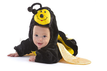 Image showing baby boy dressed up like bee