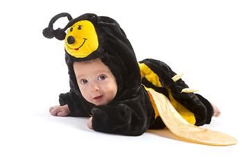 Image showing baby boy dressed up like bee 
