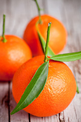 Image showing fresh tangerines with leaves 