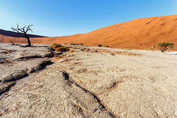 Image showing beautiful landscape of Hidden Vlei in Namib desert 