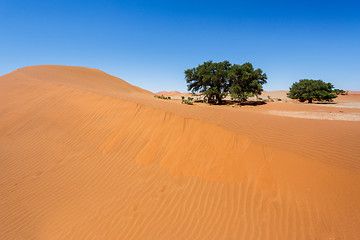 Image showing beautiful landscape of Hidden Vlei in Namib desert