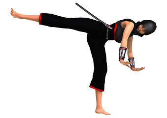 Image showing Ninja