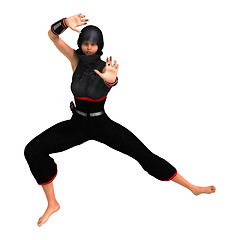 Image showing Ninja