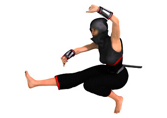 Image showing Ninja