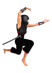 Image showing Ninja