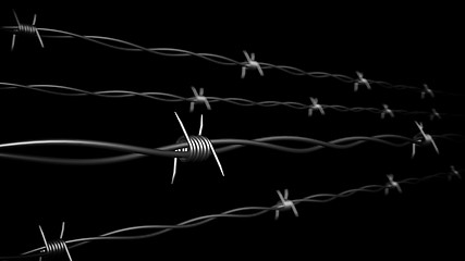 Image showing Barbed wire.