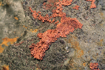 Image showing copper background