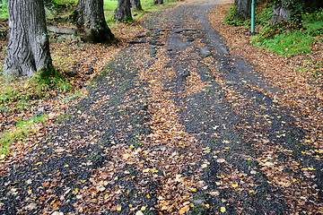 Image showing Road