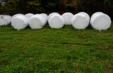 Image showing Bales of grass hay 