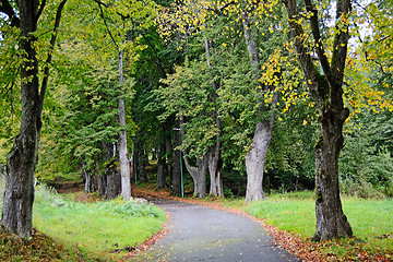 Image showing Road