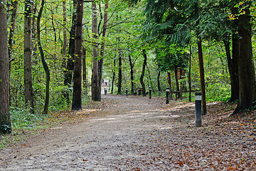 Image showing Forest path