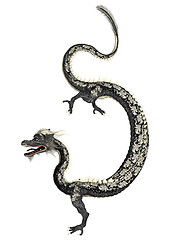 Image showing Black Eastern Dragon