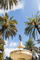 Image showing Seville Alcazar Garden