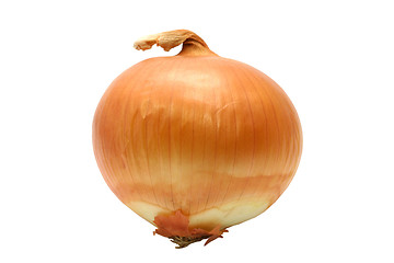 Image showing Isolated onion