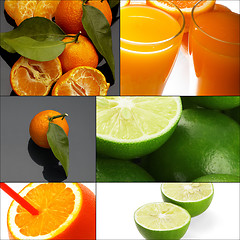 Image showing citrus fruits collage