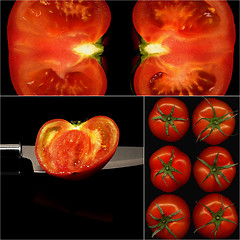 Image showing tomatoes collage