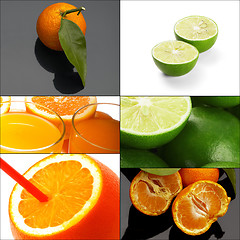 Image showing citrus fruits collage