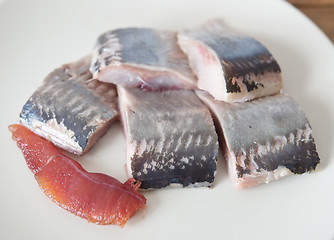 Image showing herring