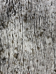 Image showing wooden texture