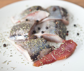 Image showing herring