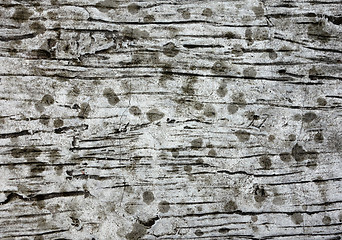 Image showing wooden texture