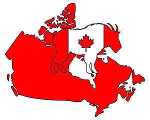 Image showing Mountain goat Canada