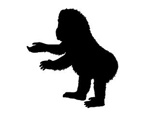 Image showing Little gorilla