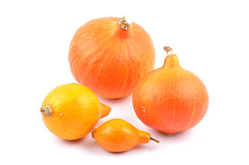 Image showing Hokkaido pumpkins