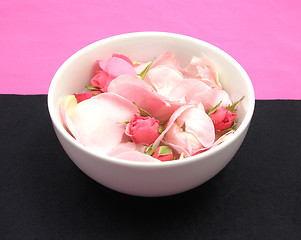 Image showing Rose buds and petals on pink and black background